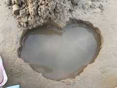 -日照海滨国家森林公园