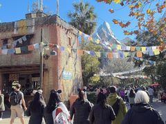 -奥兰多迪士尼动物王国乐园
