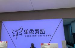 -单色舞蹈