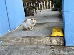 -琥珀川咖啡馆·Amber cafe(百祥路店)