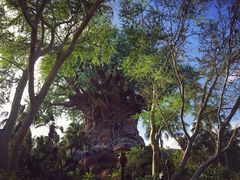 -奥兰多迪士尼动物王国乐园