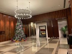 -香港尖沙咀凯悦酒店