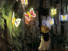 -正佳雨林生态植物园