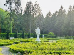 -东平国家森林公园