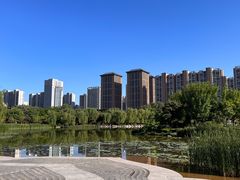 -木塔寺遗址生态公园