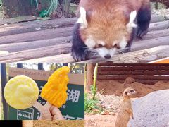 -云南野生动物园