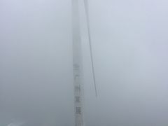 -盐洲岛