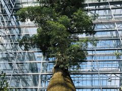 -南山植物园