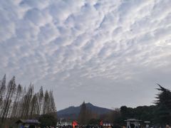 -紫金山山顶公园