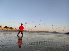 -老虎石海上公园