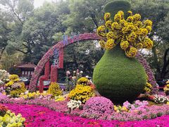 -杭州植物园