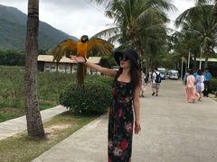 -亚龙湾国际玫瑰谷
