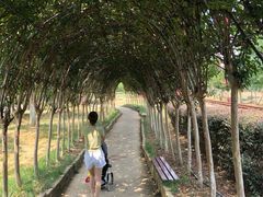 -武汉紫薇都市田园