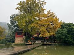 -佛荫寺