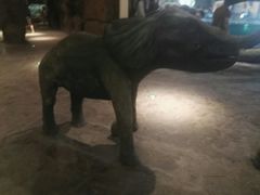 -绍兴梦享海洋公园