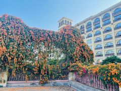 -厦门帝元维多利亚大酒店(环岛路黄厝海滩店)