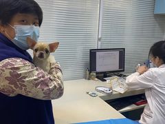-瑞派·关忠动物医院(国瑞店)