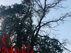 -终南山古楼观历史文化景区