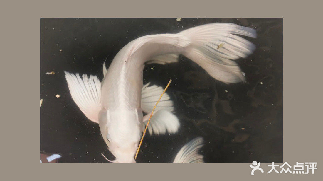 美丽世界——南宫五洲植物乐园