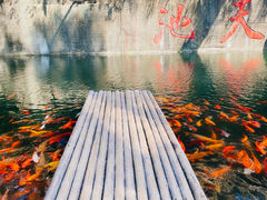 -千岛湖东南湖区