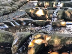 -成都市活水公园