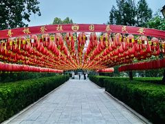 -大槐树寻根祭祖园