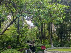 -成都市活水公园