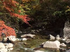 -青峰峡国家森林公园