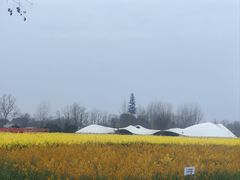 -中国天府农业博览园