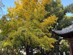 -汇龙潭
