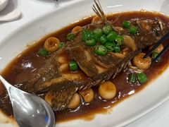 -新吉士·上海菜(浦东LCM置汇旭辉店)