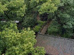 -巴倒烫陆派火锅山庄(南山总店)