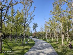 -狼山风景名胜区