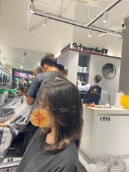 中发-卓梵美发·精品Salon