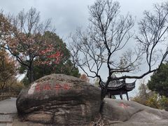-灵岩山风景区