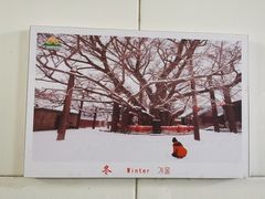 -浮来山风景区