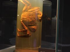 -盘锦特产博物园