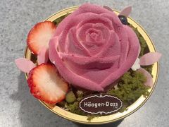 -哈根达斯(青岛海信店)