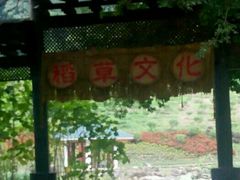 -广州市石门国家森林公园