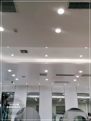 -YESIDO椰岛造型