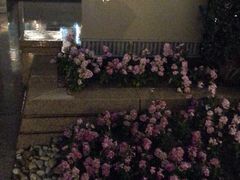 -西点坊(浦东香格里拉店)