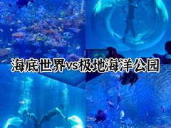 -海合安青岛极地海洋公园
