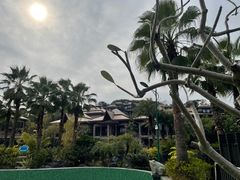 -广州都喜泰丽温泉度假酒店