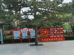-团结湖公园