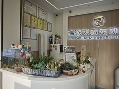-瑞派·关忠动物医院·猫专科·犬专科(三环新城店)