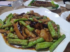 -东鸽皇(奥园·中环广场店)