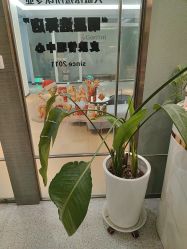 -苗方清颜·祛痘皮肤管理