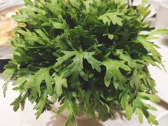 -古乐牛香·鲜牛肉牛杂火锅(新区店)