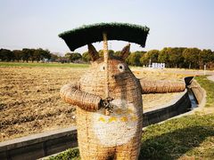 -嘉北郊野公园