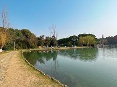 -新洲生态园